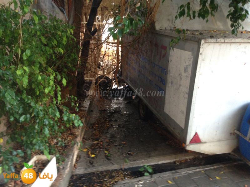 bike yaffa 0609 (5).JPG